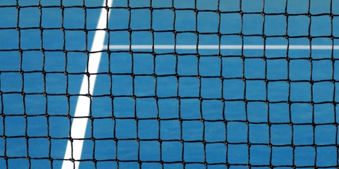 Pickleball court net